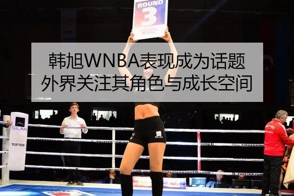 韩旭WNBA表现成为话题 外界关注其角色与成长空间